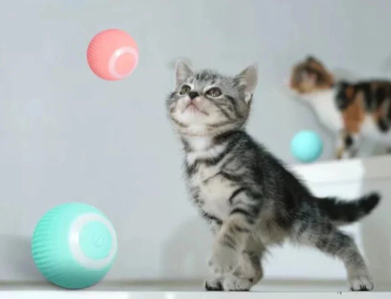 AutoBall™ - Jouet électrique interactifs pour chats - La Chatillère