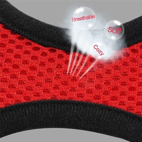 HarnaisMax™ - Harnais confort pour chien - La Chatillère