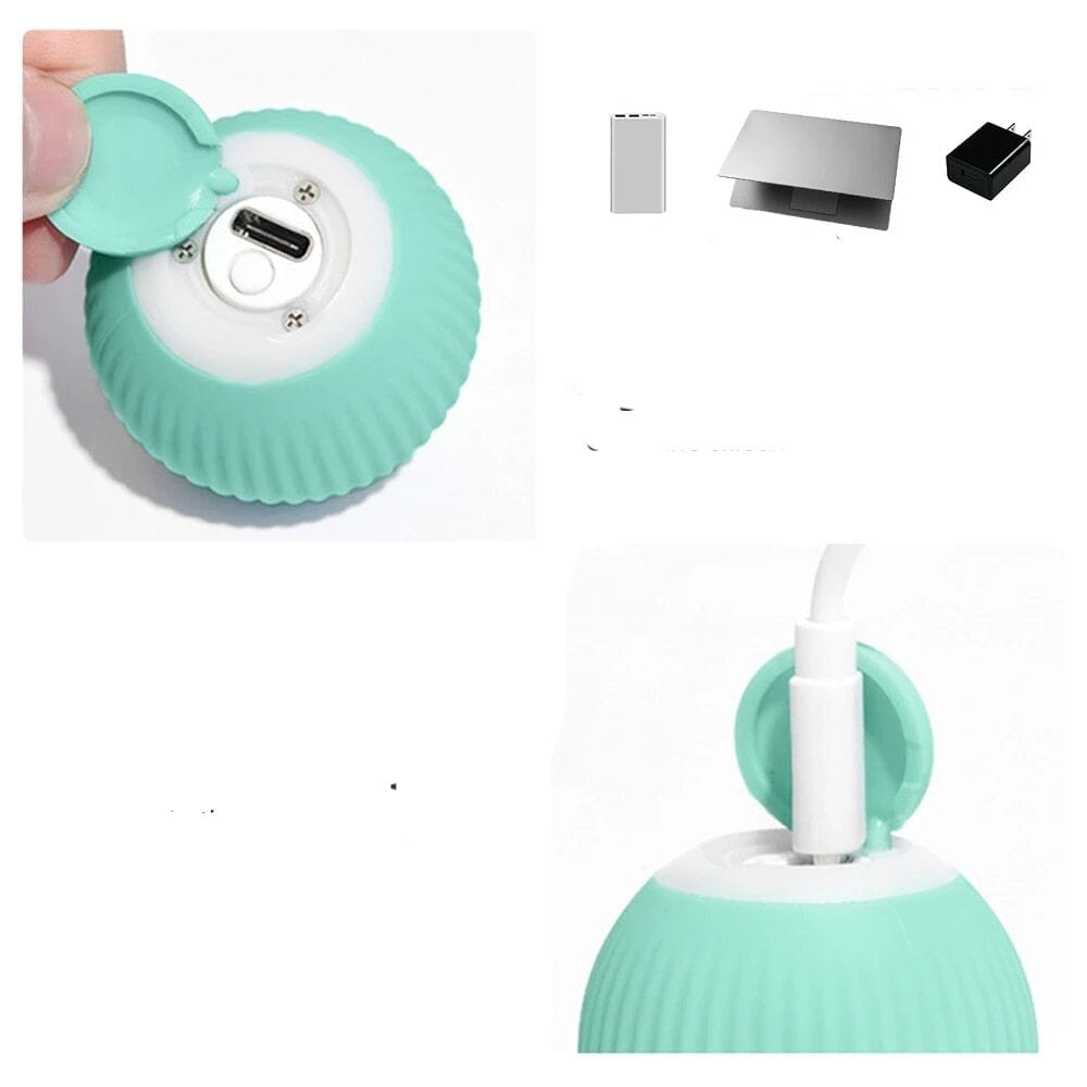 AutoBall™ - Jouet électrique interactifs pour chats - La Chatillère