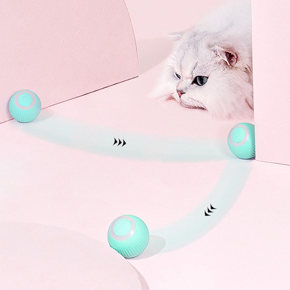 AutoBall™ - Jouet électrique interactifs pour chats - La Chatillère