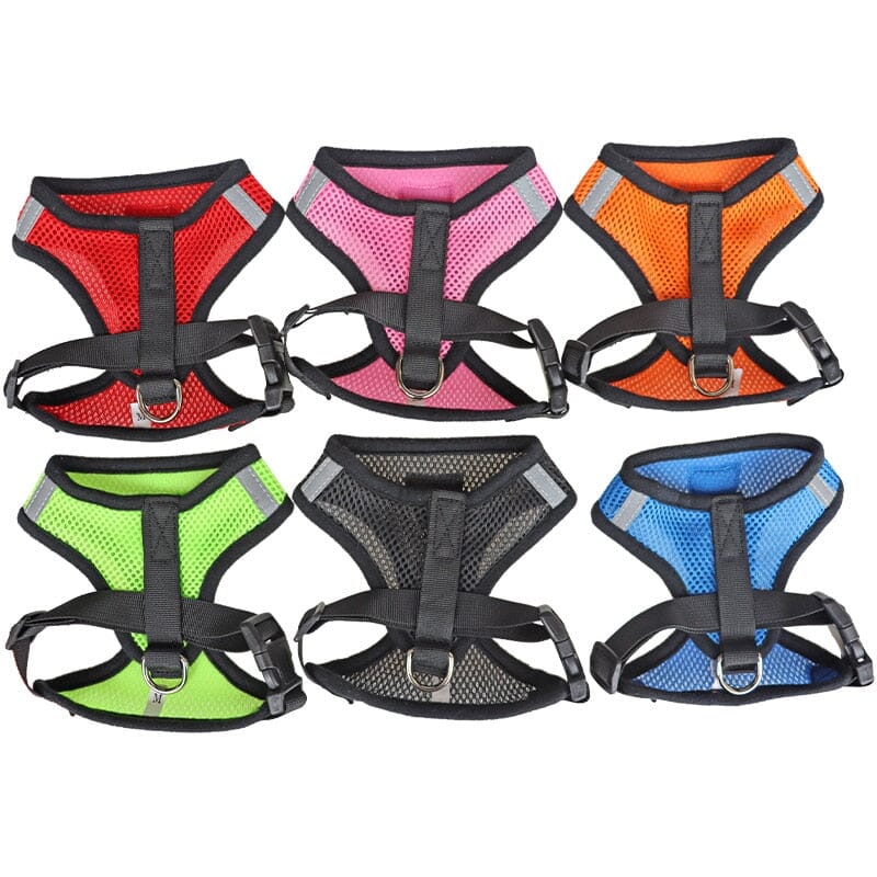 HarnaisMax™ - Harnais confort pour chien - La Chatillère