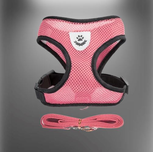 HarnaisMax™ - Harnais confort pour chien - La Chatillère