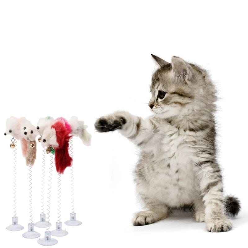 SpringFun™ - Colonne Spirale pour chat - La Chatillère